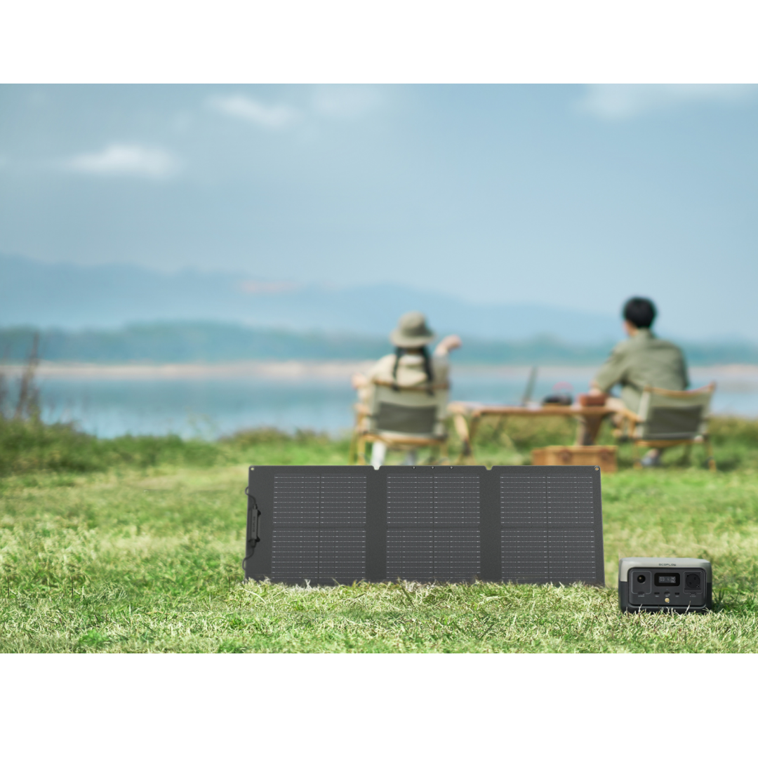 EcoFlow Solar Paneel 60W - Nicht lagernd